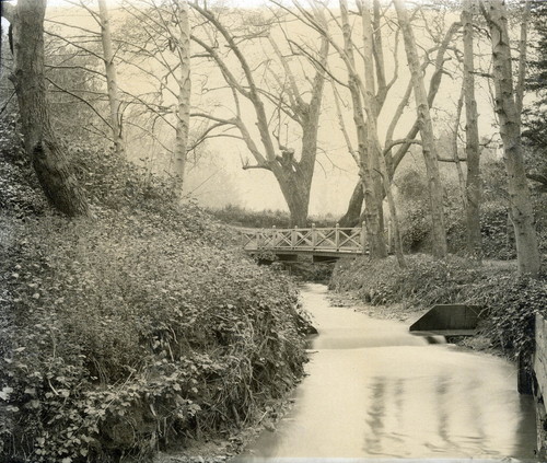 Photograph by Taber of a creek at Mills College