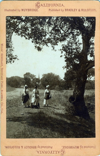 Eadweard Muybridge photograph of Mills College