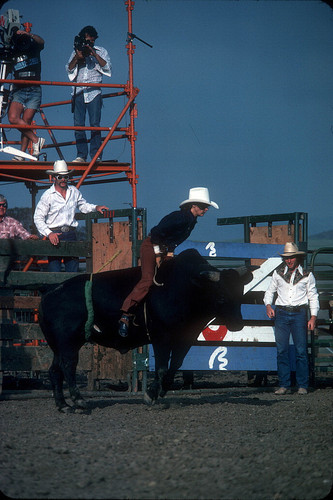 [Bull riding at "Challenge of the Sexes," 1976 slide]