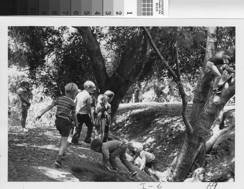 [Children playing beneath trees at a wilderness park photograph]