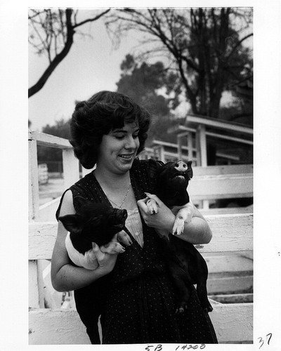 [Mission Viejo High School Future Farmers of America student holding two piglets, 1981 photograph]