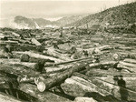 40 million feet redwood lumber, Scotia, California, 16691