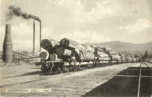 Red River Lumbar CO. Railroad