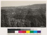 Valley of Clear Creek. Note potential brush with yellow pines in background. Digger pines in canyon