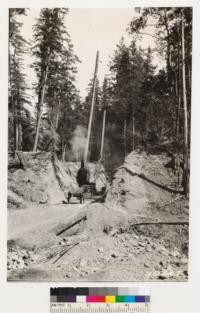 Logging scene Santa Cruz Lumber Company. Modern logging methods (destructive steam yarding methods and use of fire) practically wipe out Douglas fir from logged lands