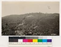 Southern Mendocino County, near Sonoma County boundary; looking north across Ash Creek (elevation 1500 feet). Showing chamise-grassy woodland-individual sugar pine in black oak stand