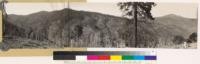 Shasta County. Panorama looking N NE and E. Shows ponderosa pine, knobcone and chaparral types