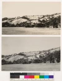 Southerly slopes of Cold Creek. Taken from point across highway from point where Nos. 229569 and 229570 were taken. Shows grassland and grassy woodland types. Woodland trees are Douglas oak, Garry oak, interior live oak and valley oak. Note gully erosion characteristic of grassland areas in this locality