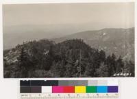 Taken from Morgan Hill near point on Mission Trail. Facing north west. Coulter pine dominates the type with few bigcone spruce