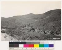 Looking south. Note cienega with coast live oak and occasional sycamore. Chaparral on north slopes: Adenostoma fasciculatum and Quercus dumosa