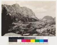 Semibarren Whitebark pine type. Asociated shrub is Salix sp.. Snow Lake at foot of slope