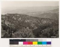 2 miles northwest of Figueroa Mt. Looking north. Showing large chamise type and Digger pine sage on serpentine ridge. Note Cupressus sargentii var. duttonii reproduction along ridge top. Assoc. species are Quercus kelloggii, Coulter pine