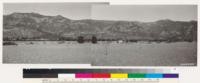 Panorama of south face above Ojai Valley east of Ojai. Note Rhus laurina clumps in sage. Varied chamise type in background. Note conglomerate wash type