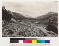 Lower Kerrick Meadow with surrounding stands of Lodgepole pine, White pine, and Mountain hemlock. Whitebark pine dominant on higher slopes and of scattered occurrence below