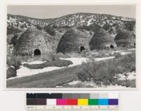 Upper part of Wildrose Canyon. Charcoal kilns used during the 70's for the Modoc gold mine (Argus Range). Now surrounded by young growth singleleaf pinon, with some Utah juniper. Shrubs are mostly Artemisia tridentata, Cercocarpus ledifolius, and along bottom, Chyrsothamnus sp. San Bernadino County