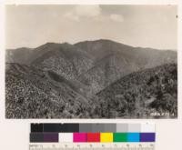 Looking SW. In foreground note chamise burn at left and coast live oak woodland on right. Background slopes: Note coulter pine, chamise, and woodland grass type