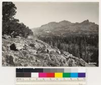 From point east of Blue Lake Road. Looking east toward Raymond Peak. Juniperus occidentalis in left foreground. Timber sub-alpine in character. Species: Pinus contorta with Pinus monticola, Juniperus occidentalis, Abies magnifica, Tsuga mertensiana