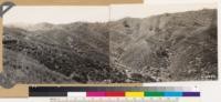 Panorama looking south and southwest showing Coulter pine relicts. Note snags and down fire killed trees. Chamise type on all exposures except direct north slopes which have cover of Quercus dumosa and Cercocarpus betulaefolius