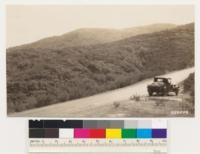 East slopes chaparral type along Lakeport-Hopland Highway. Species represented are Quercus dumosa, Quercus wislizenii, Arctostaphylos canescens, Photinia arbutifolia, Ceanothus foliosus, Pickeringia montana and Adenostoma fasciculatum. Occasional thickets of Arbutus menziesii and Umbellularia californica