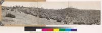 Near Bottle Creek Hill, Butte County. Panorama looking N, NE and SE. Diamond Match Company land logged 1924-25 with high lead and subsequently burned over. Formerly supported sugar pine, ponderosa pine-white fir stands averaging about 50 M per acre. Present scanty cover consists of Arctostaphylos patula, Castanopsis sempervirens, Ceanothus cordulatus and prostratus with occasional Quercus kelloggii