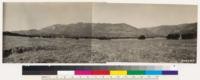 Panorama of south face above Ojai Valley showing chamise and spots of sage. Valley and coast live oak in foreground. Matilija Canyon in center