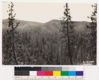 Looking southeast and southwest showing Coulter pine type. Ground cover on south slopes. Arctostaphylos pilosula., A. canescens, Adenostoma fasciculatum, Salvia sonomensis, Pickeringia montana, Ceanothus dentatus. On north slopes: Quercus dumosa and Quercus wislizenii frutescens