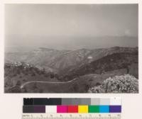 Looking east from Fremont Peak. Shows 1931 burn in chamise type. Conifers on distant ridge are coulter pine; woodland in foreground of valley oaks