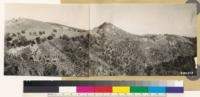 Panorama looking E and Se. Shows chamise burns, coast live oak woodland, and grassland with scattering valley oaks