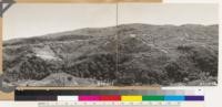 Panorama of north slope of Cottonwood Creek. Chaparral of Quercus garryana semota. Dense woodland of Quercus chrysolepis. Note strip of valley oak open woodland along ridge. Panochromatic film used