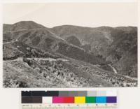 Looking southeast from point on Bates Canyon Road. Area burned over in 1922. Note that all of chaparral types was burned over leaving inburned remnants of canyon oak woodland