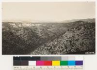 Grass-sage-scattered chamise type on east and south slopes on ridges between Dry Canyon and Haskell Canyon. Barren area is in Dry Canyon