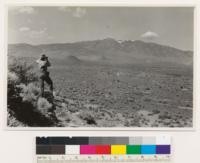 Reno Quadrangle, Nevada. Looking southwest across Lemmon Valley to Peavine Peak. Species in foreground are Artemesia tridentata, Grayia spinosa and Chysothamnus viscidiflorus. Elevation of valley 5000-5500 feet