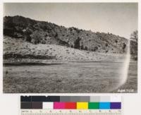 Kern County. Looking north showing sagebrush type of Artemisia tridentata and Chrysothamnus nauseosus. Note scattered pinon and Digger pine