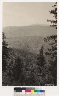 Looking north toward Cone Peak Lookout. Foreground: north slope with Douglas fir-Coulter pine type with redwood, western yellow pine, tanbark oak, madrone, and canyon live oak; south slopes facing camera are chamise. Conifer timber on distant ridge tops is western yellow pine and Coulter pine