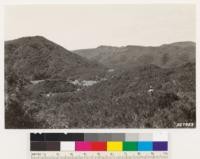 Looking south at Santa Lucia Range. Shows chaparral types with fragment woodland areas. Chaparral: Adenostoma fasciculatum, Quercus dumosa on north slope. Woodland , California laurel and coast live oak