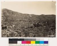 Looking SE at open chaparral type in area affected by smelter fumes. Arctostaphylos viscida, Rhus diversiloba and Ceanothus cuneatus are dominants. Type contains scattered Douglas oak and Digger pine with occasional black oak, interior live oak, Rhamnus californica and Ceanothus tomentosa