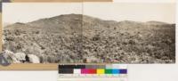 Panorama looking east and southeast toward pine hill. Chaparral type of Adenostoma fasciculatum with Arctostaphylos viscida, Photinia arbutifolia, Ceanothus lemmonii, Eriodictyon californicum, Ericameria arborescens and Salvia sonomensis. Note scattered Digger pine and interior live oak. This type is on thin soil of serpentine origin. Note western yellow pine on skyline at left which is on north slope with deeper soils