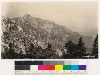 Character of cover and terrain on the north side of the West Fork of Bear Creek near the headwaters. Peak 6864 in center of picture. Cover is largely Cercocarpus betuloides and Quercus chrysolepis