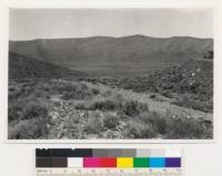 Looking north towards Pinto Peak from Death Valley-Wildrose Canyon Raod. Desert "sagebrush" type, with Utah juniper along distant ridge. San Bernadino County