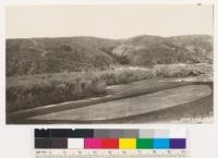 Pine Canyon side of the Warm Springs fire 1924. Type is chamise on the ridge tops and mixed type on north slopes. Note the big cone spruce in the draw and canyon which escaped the fire