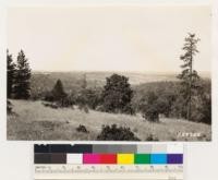 Looking southeast from near Hotaling. Note Ponderosa pine, Black, Canyon, Interior Live and Blue oaks and Digger pine