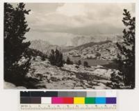 Semibarren Whitebark pine type surrounding Snow Lake. Associated ground cover consists of Juncus sp