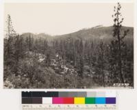 Looking southeast and southwest showing Coulter pine type. Ground cover on south slopes. Arctostaphylos pilosula., A. canescens, Adenostoma fasciculatum, Salvia sonomensis, Pickeringia montana, Ceanothus dentatus. On north slopes: Quercus dumosa and Quercus wislizenii frutescens