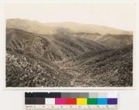 Head of Miranda Pine Creek. Looking SE at chamise chaparral slopes. Santa Barbara County