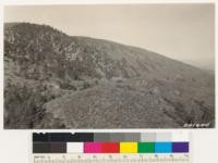 Looking west from bend on Palmdale-Big Pines Highway. Note desert chaparral type. Fragments of western yellow pine and Quercus chrysolepis types