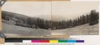 Panorama from Gans Prairie looking S and SE across Redwood Creek drainage at large area of virgin Redwood and Redwood -Douglas fir type