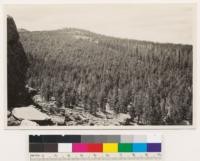 Looking SSW at virgin lodgepole forest on right about 125' feet tall. Second growth lodgepole and whitebark pine in center on land cutover for mine timbers in 1870's