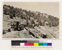 Pinon fuelwood operation in Wellington Hills. Old growth pinon stumpage bought from Forest Service. Saw powered by auto motor. (Nevada)