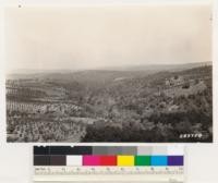 Looking north over Gold Hill. Woodland bottom is Ponderosa and Digger pine, Blue and interior live oak, Alder and Willow