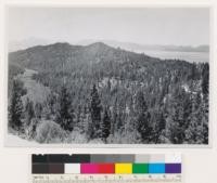 Repeat of old photograph. Looking SSW on areas logged clean in 1860's for mill at Glenbrook(at lower end of meadow on lakeshore out of sight in photo). Shows natural reforestation of Jeffrey pine and Abies concolor on east side of Sierras in area where no reburns occurred